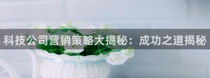 金年会体育app最新官网入口