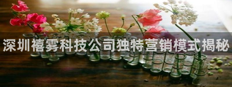 金年会官方入口网站