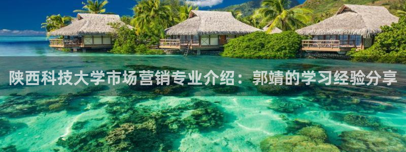 金年会官方入口app