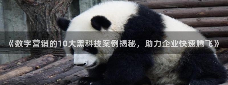 金年会app官方网站入口在哪