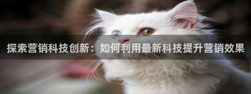 金年会金字招牌