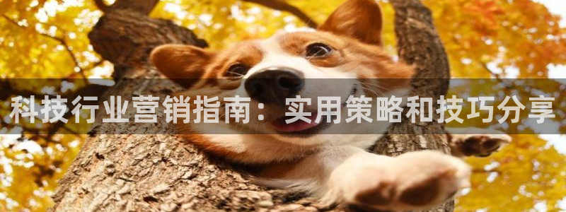 金年会官方入口app