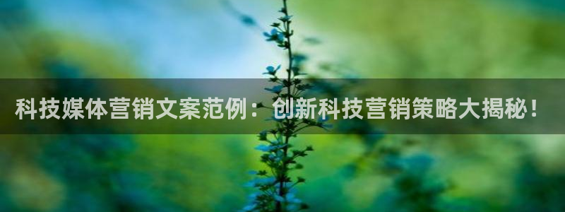 金年会平台官网