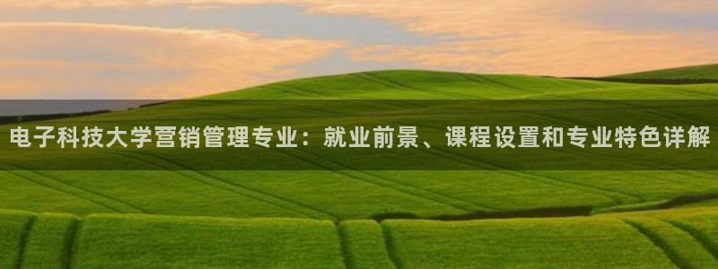 金年会官方入口首页网站
