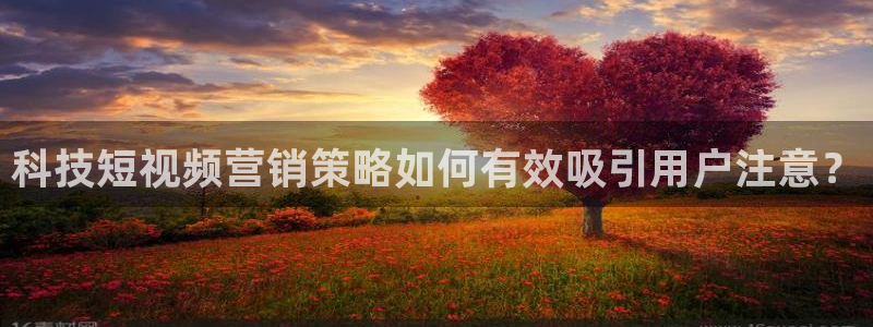 金年会手机网页版吗