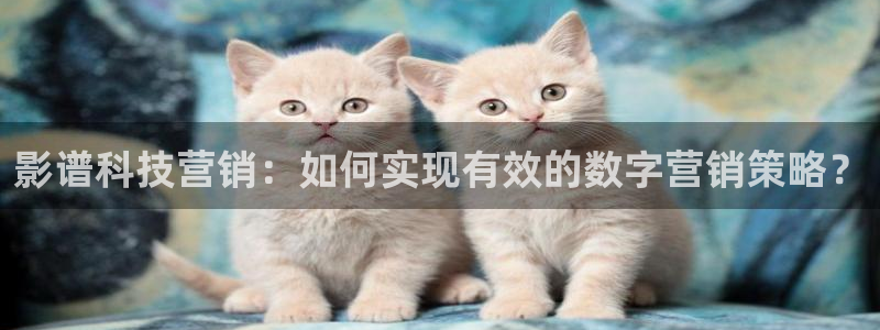 金年会app平台有人玩过吗安全吗