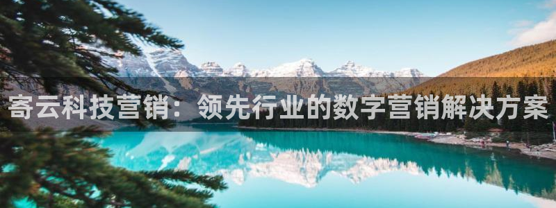 金年会APP官方网站