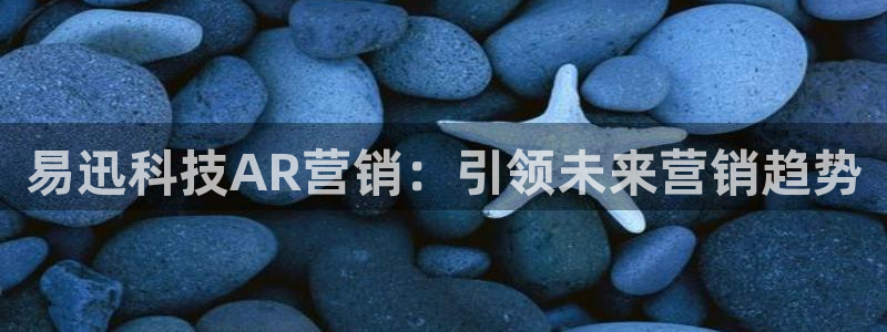 金年会网站洗黑钱