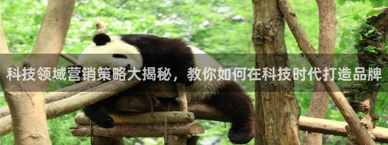 金年会网址导航在线播放