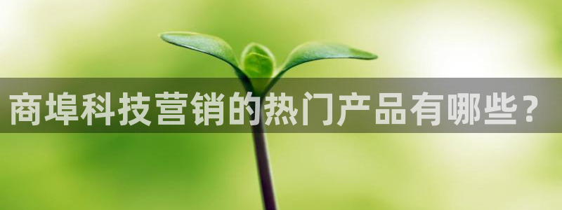 金年会体育平台官网下载
