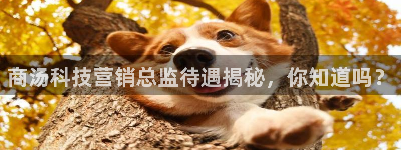 金年会体育电子官方网站