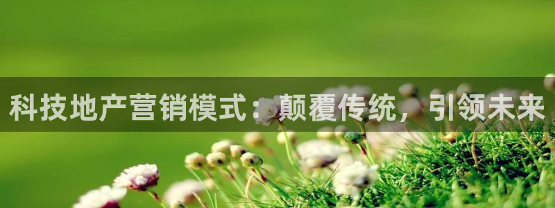 金年会体育app属于正规平台吗