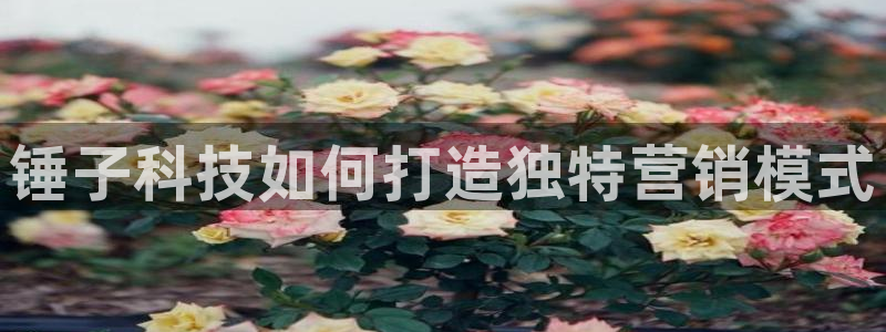 金年会体育官网入口