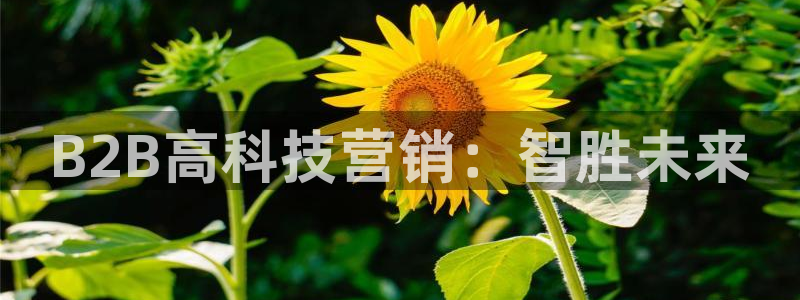 金年会网站拒绝出款怎么办