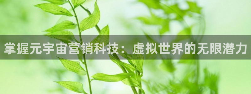 金年会信誉第一