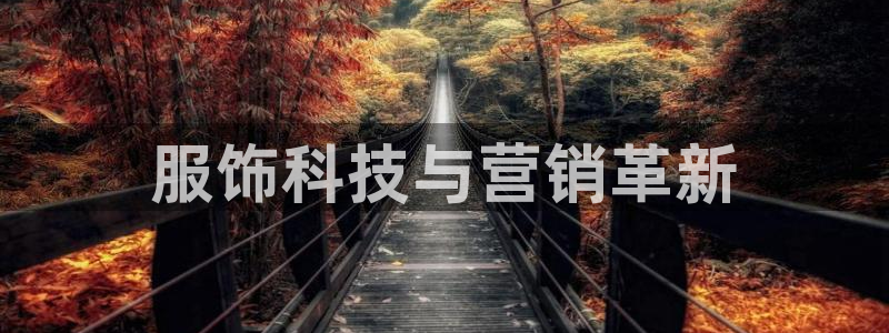 金年会体育app平台怎么样