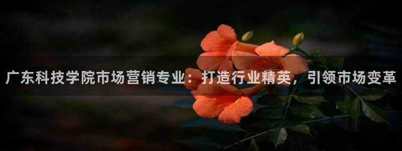 金年会体育苹果下载app