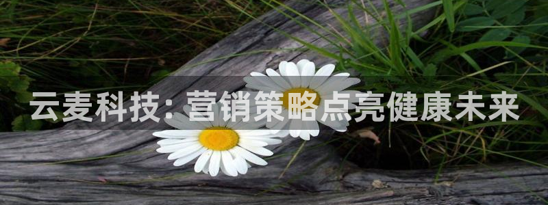 金年会电子游戏