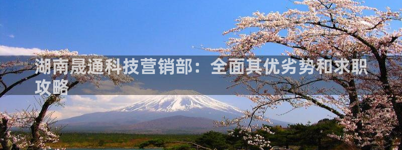 金年会体育平台怎么样