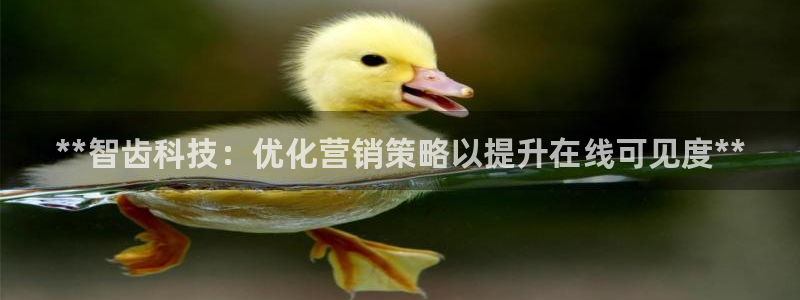 金年会APP官方网站