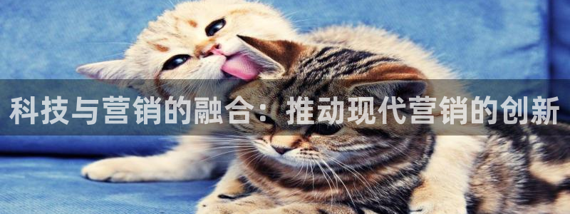 jinnianhui金年会世界杯