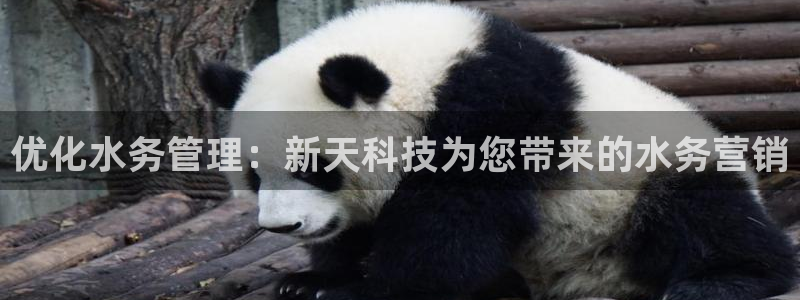 金年会电子游