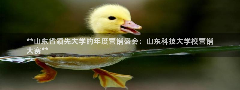 金年会体育app入口