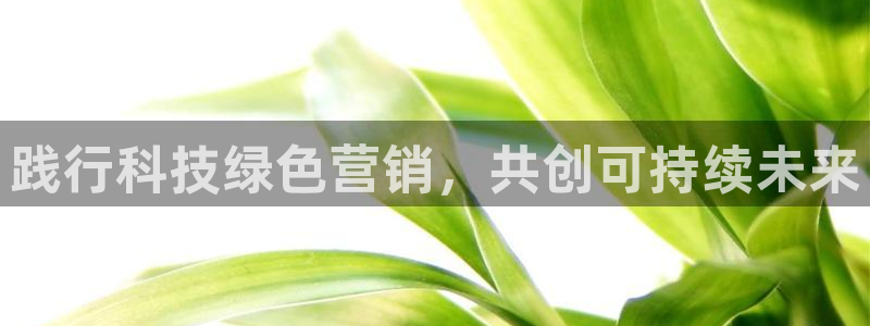金年会体育一直输