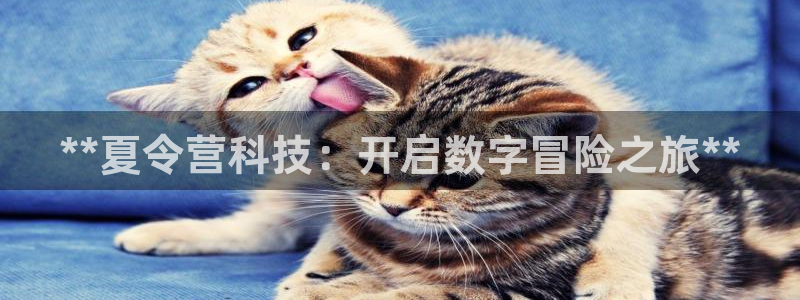 金年会网址