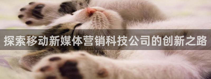 金年会金字照片诚信至上