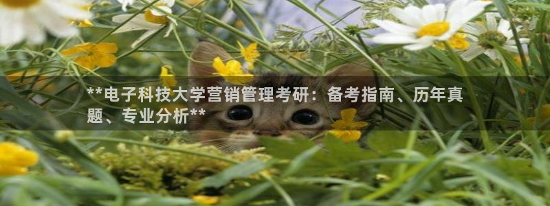金年会体育中心