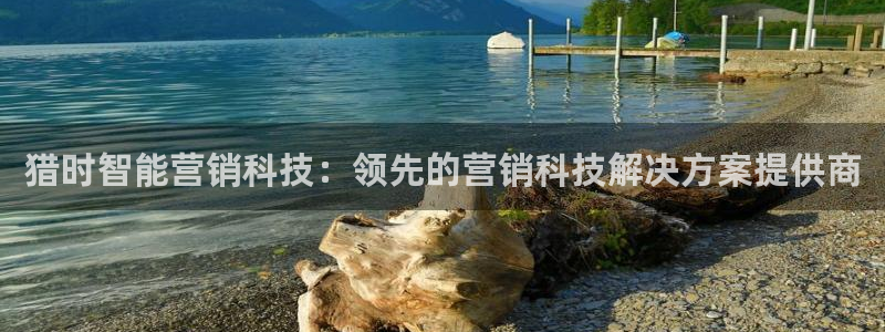 金年会下载
