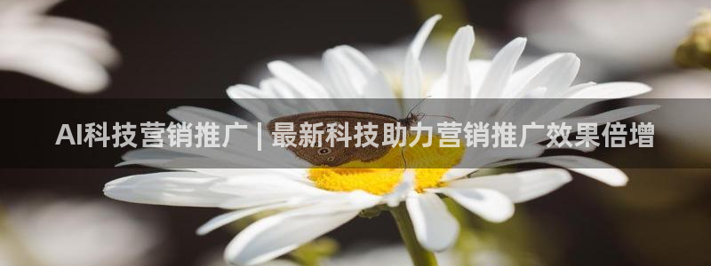 金年会赌博app平台可靠吗安全吗
