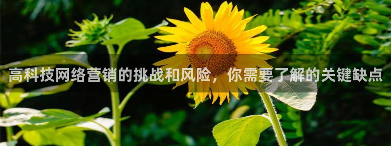 金年会体育合法吗