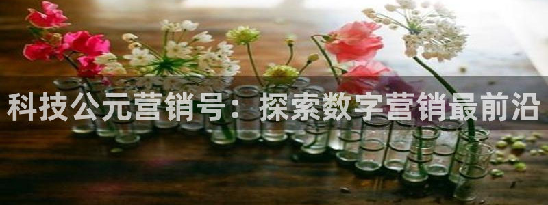 金年会VIP