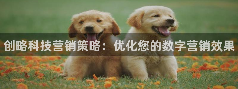金年会官方在线入口网址大全