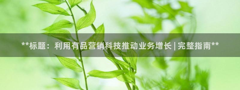 今年会金年会