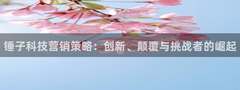 金年会信誉至上金字招牌