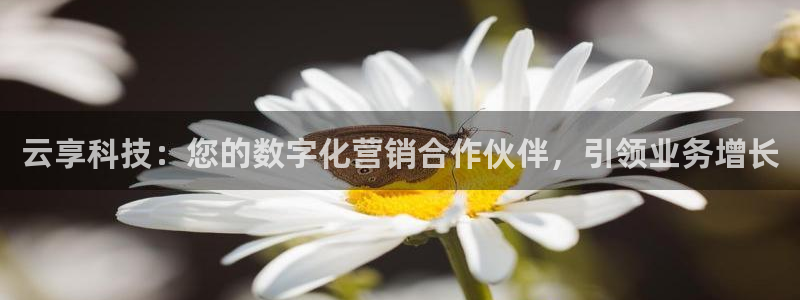 金年会体育论坛官网
