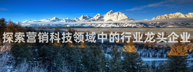 金年会体育官网app