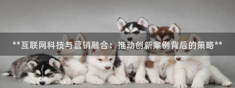 金年会体育中国官方网站
