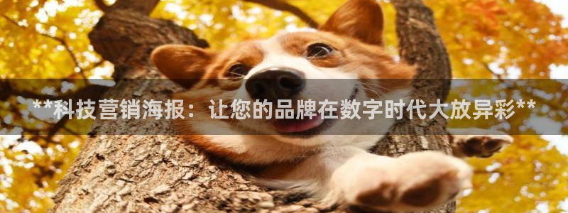 金年会app平台有人玩过吗安全吗
