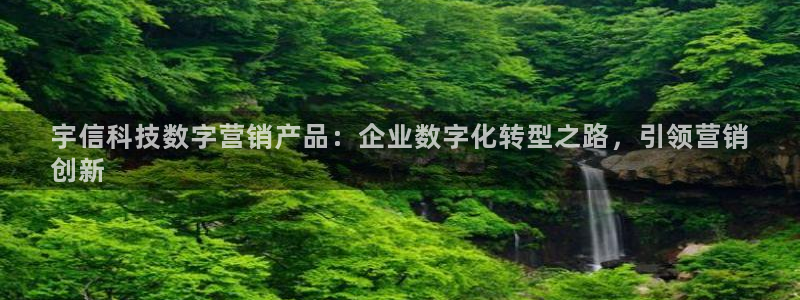 金年会体育信誉怎么样