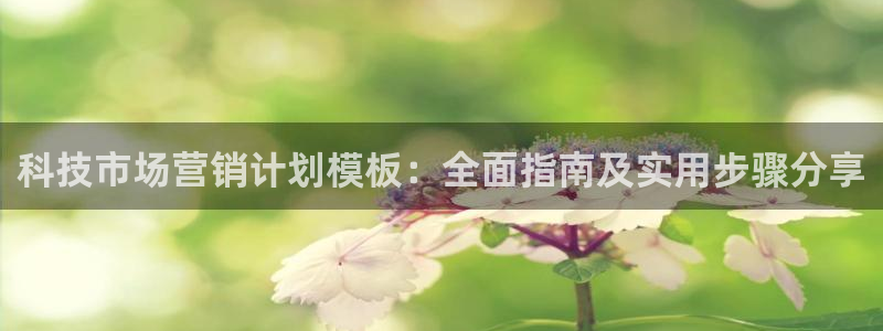 金年会网站洗黑钱
