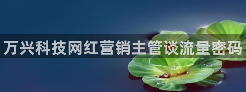 金年会app官网免费下载