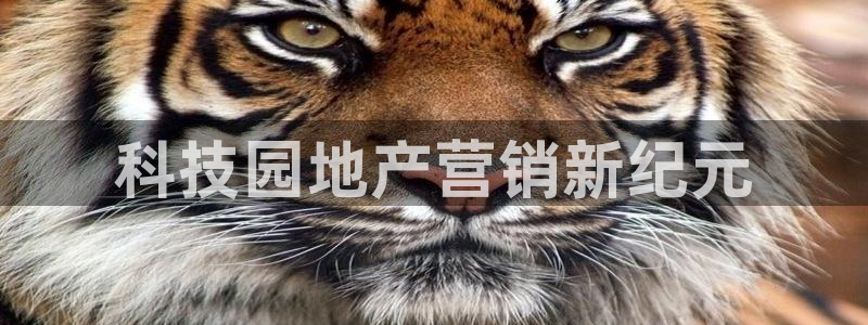 金年会官方网站入口登