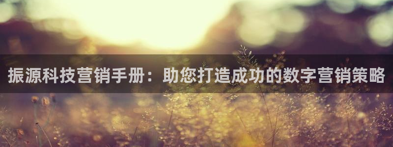 金年会ivp