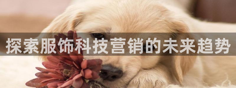 金年会官方在线登录网